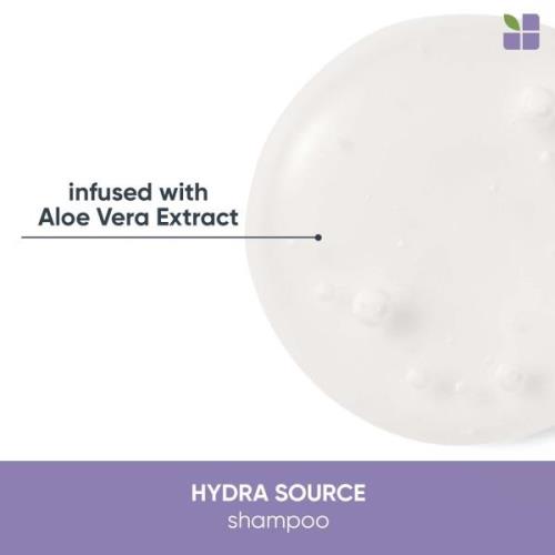 Matrix Biolage HydraSource Shampoo und Conditioner
