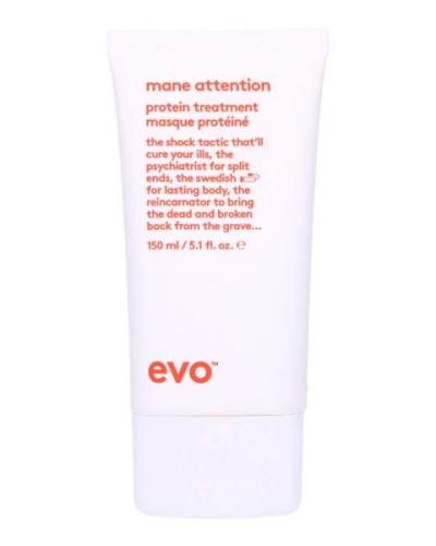 EVO Mane Attention Protein Treatment 150 ml