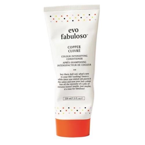 Evo Fabuloso Colour Intensifying Conditioner Copper