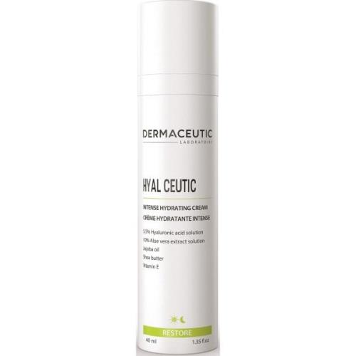 Dermaceutic Hyal Ceutic 40 ml