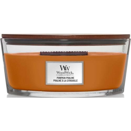 WoodWick Pumpkin Praline Ellipse