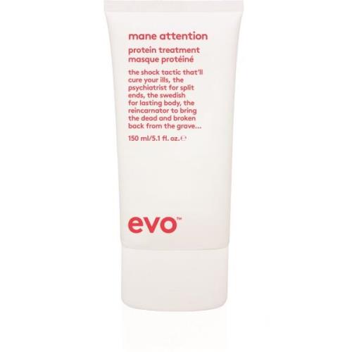 Evo Mane Attention Protein Treatment 140 ml