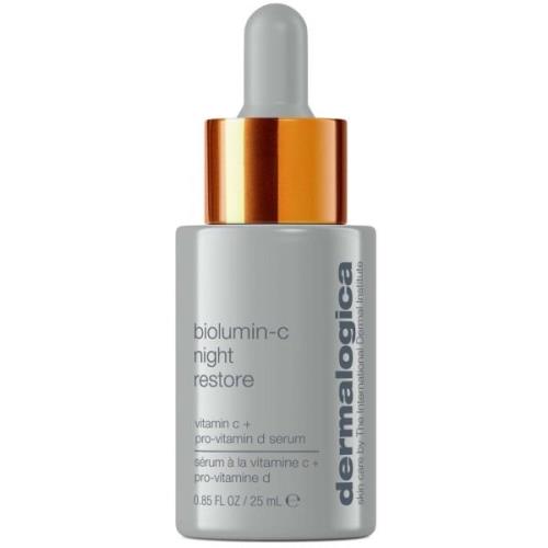 Dermalogica Biolumin-C Night Restore 25 ml