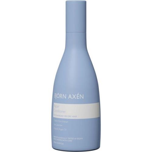 Björn Axen Repair Care Repair Conditioner 250 ml