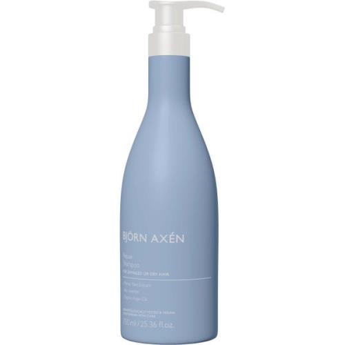 Björn Axen Repair Repair Shampoo  750 ml