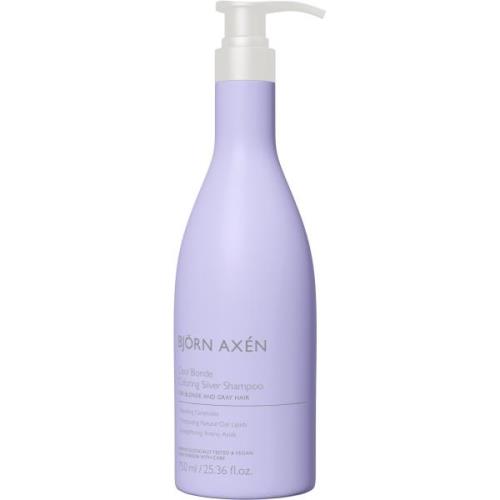 Björn Axen Cool Blonde Coloring Silver Shampoo 750 ml