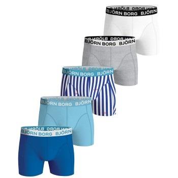 Björn Borg 5P Essential Shorts 2115 Blau/Hellblau Baumwolle Small Herr...