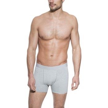 Bread and Boxers Boxer Brief 5P Grau Ökologische Baumwolle Small Herre...