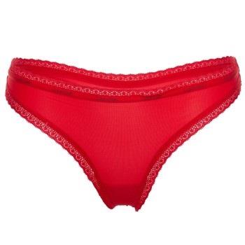 Calvin Klein Bottoms Up Refresh Thong Rot Polyamid Large Damen