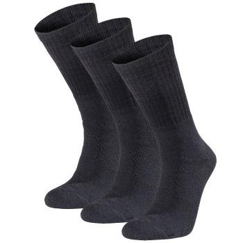 Seger 3P Basic Cotton Sock Schwarz Gr 39/42