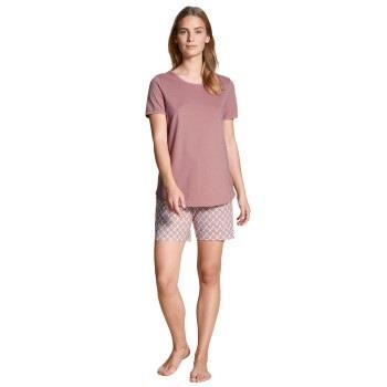 Calida Lovely Nights Short Pyjama Rosa Muster Baumwolle Small Damen