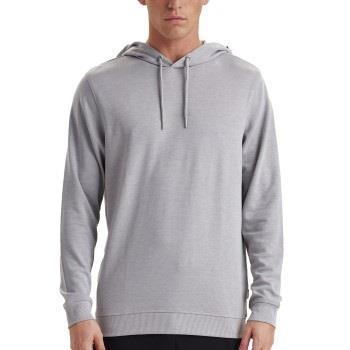 JBS of Denmark Hoodie With Logo Hellgrau Small Herren