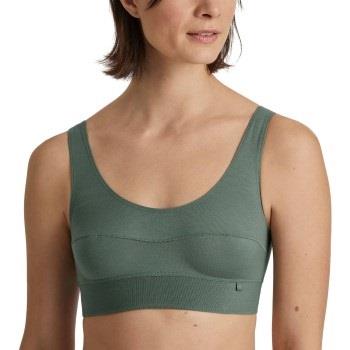 Calida BH Elastic Top Grün Baumwolle Small Damen