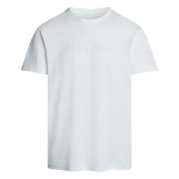 Calvin Klein Logo Cotton Tee Weiß Baumwolle Small Herren