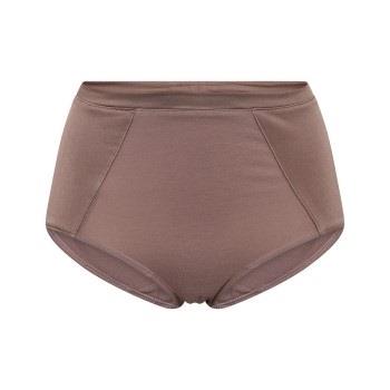 JBS of Denmark Maxi Brief Rosa Small Damen