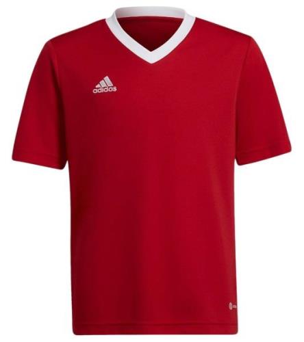 adidas Entrada 22 Sport-Shirt für Jungen und Mädchen nachhaltiges Trai...